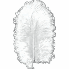 Πούπουλα Marabou λευκά 10-12cm